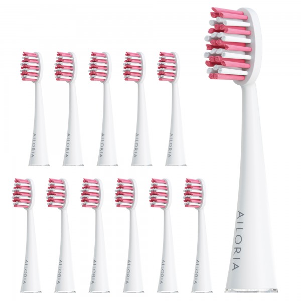 SHINE BRIGHT Têtes de brosse - lot de 12