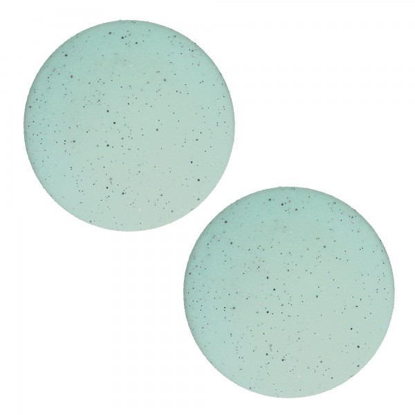 LUSTRE Lot de 2 disques de rechange (2x grain fin)